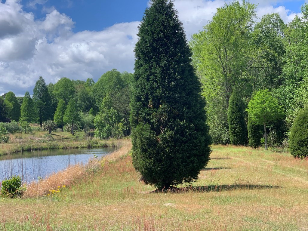 717 Redds Branch Road Aiken, SC 29801 - Photo 29 of 71