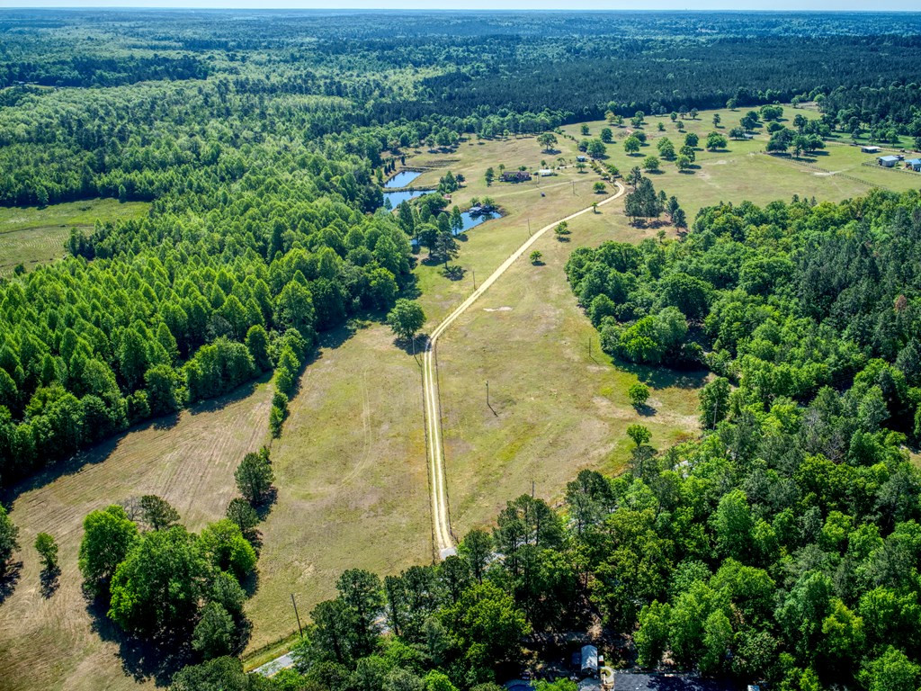 717 Redds Branch Road Aiken, SC 29801 - Photo 4 of 71