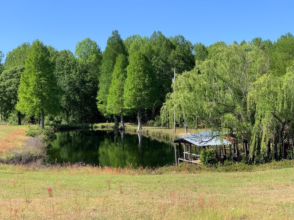 717 Redds Branch Road Aiken, SC 29801 - Photo 52 of 71