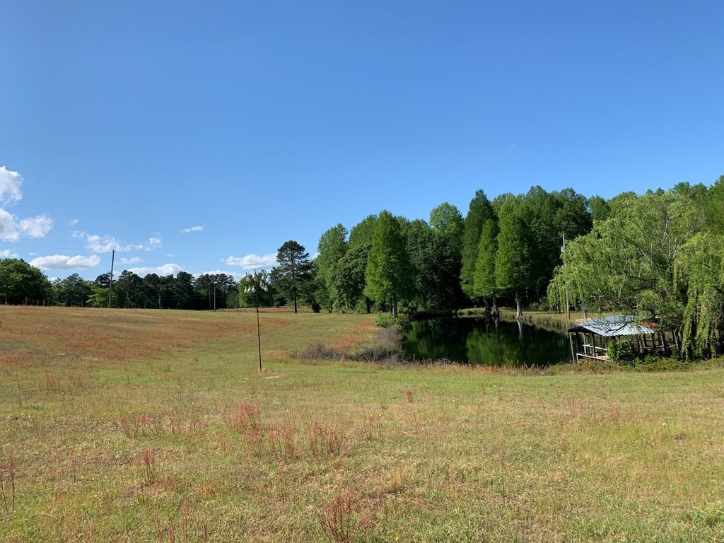 717 Redds Branch Road Aiken, SC 29801 - Photo 53 of 71