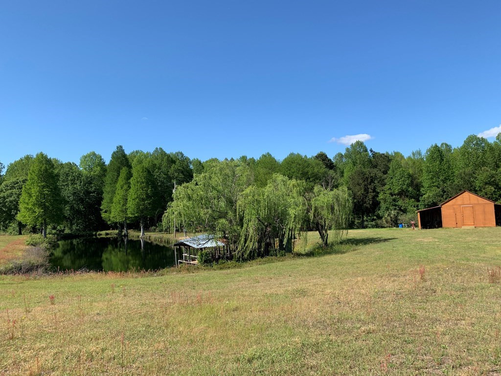 717 Redds Branch Road Aiken, SC 29801 - Photo 54 of 71