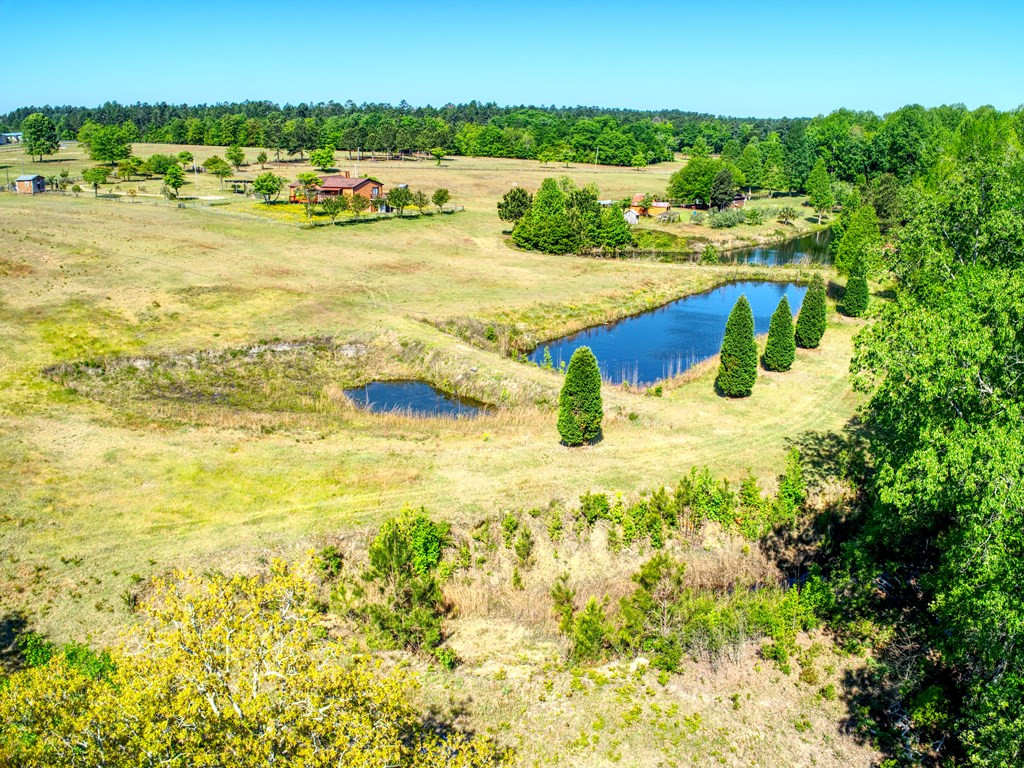 717 Redds Branch Road Aiken, SC 29801 - Photo 6 of 71