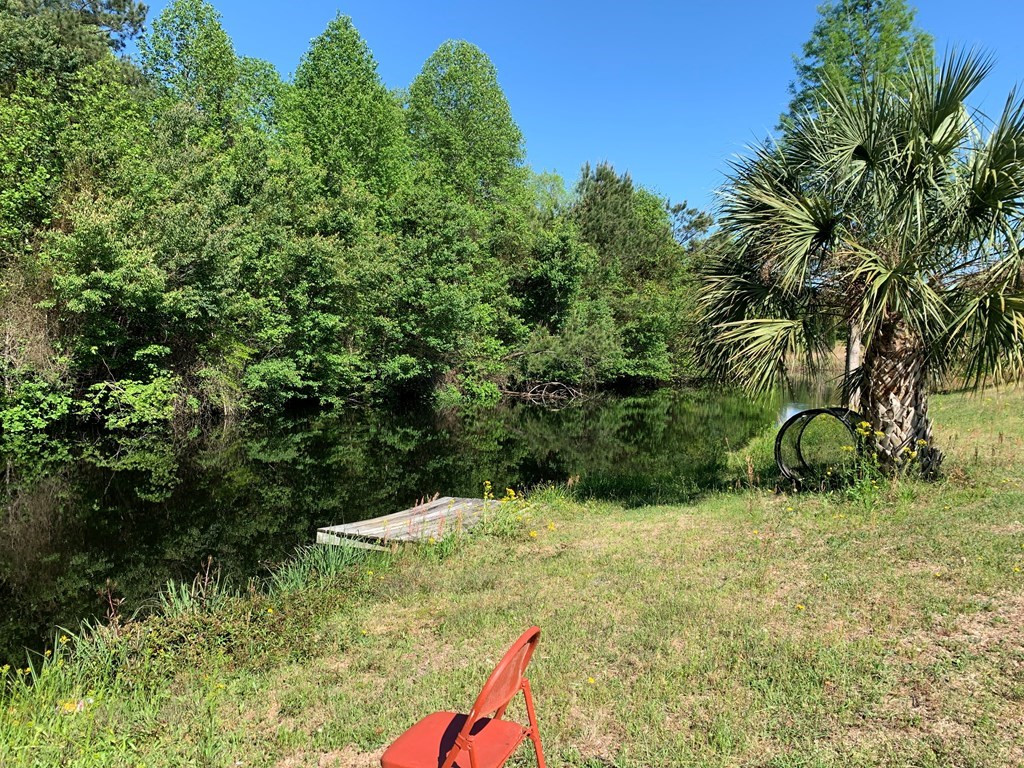 717 Redds Branch Road Aiken, SC 29801 - Photo 61 of 71