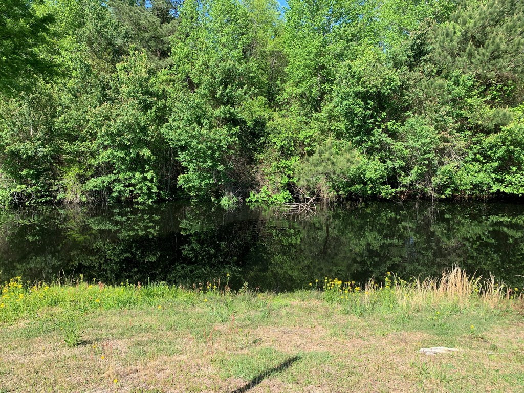 717 Redds Branch Road Aiken, SC 29801 - Photo 65 of 71