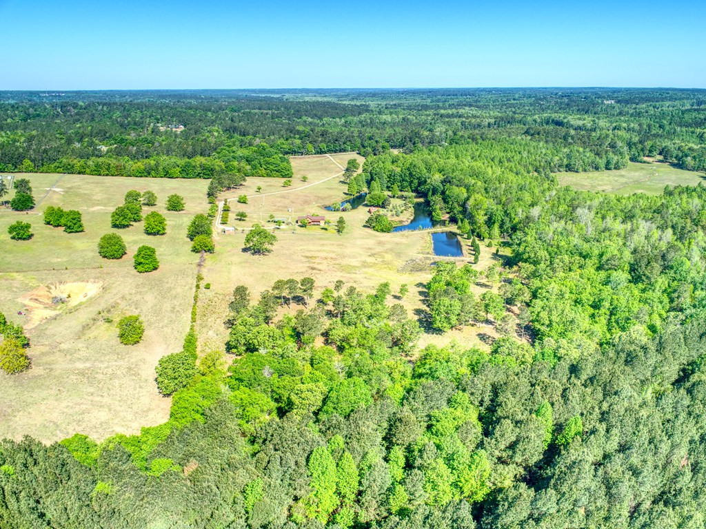 717 Redds Branch Road Aiken, SC 29801 - Photo 7 of 71