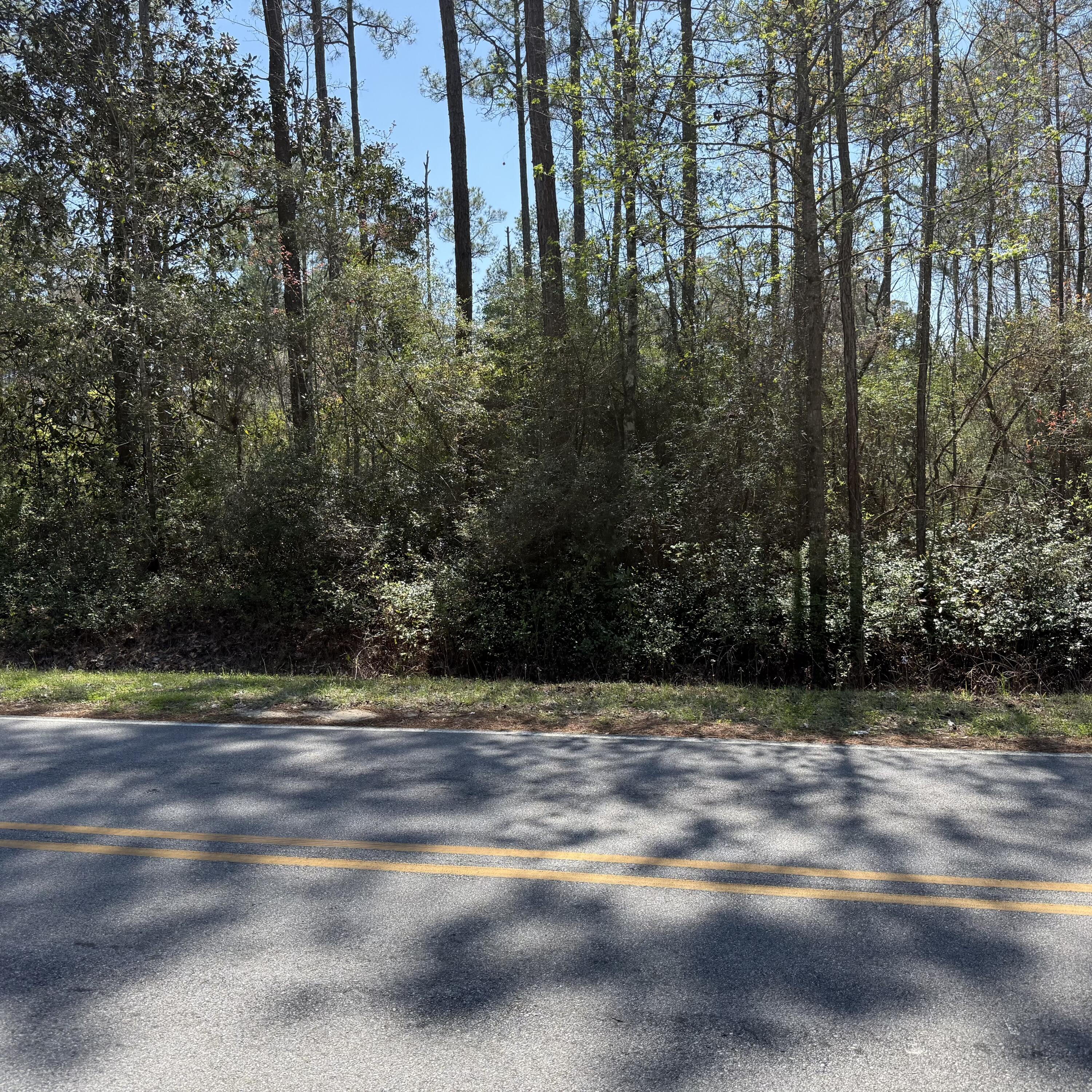 Tbd Mallet Road Freeport, FL 32439 - Photo 5 of 10 a view of a yard with plants and trees