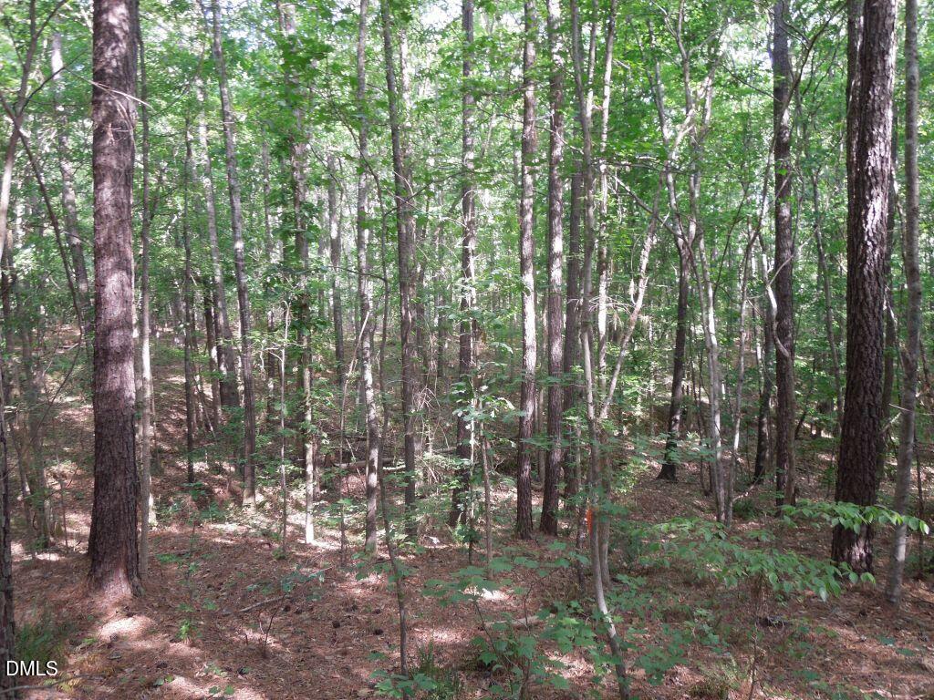 0 Glebe Road Henderson, NC 27537 - Photo 13 of 34 DSCN0485