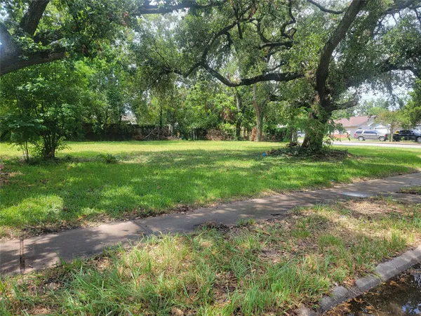 a view of backyard with green space