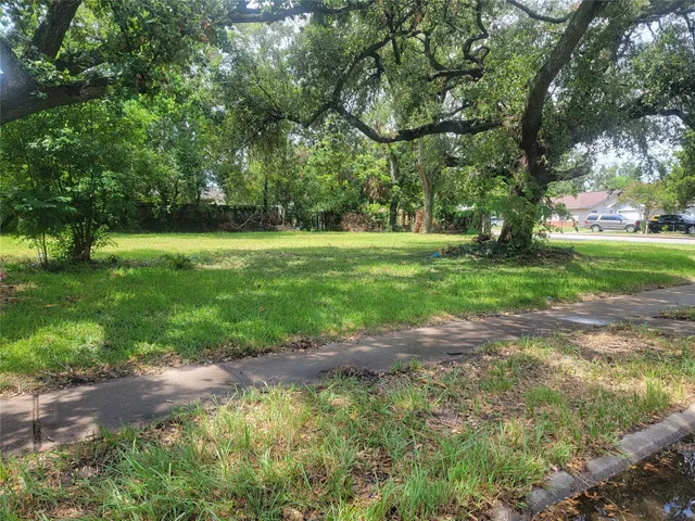 a view of backyard with green space