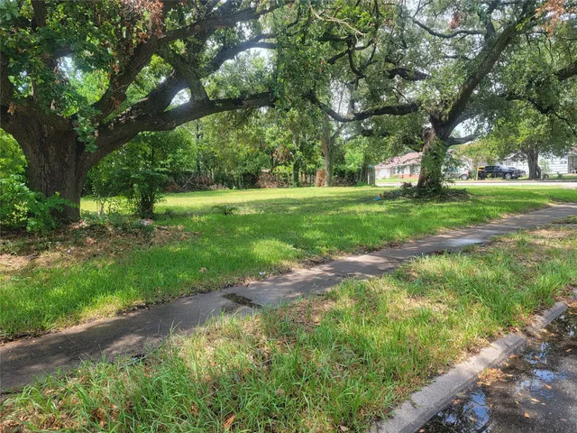 a view of backyard with large trees