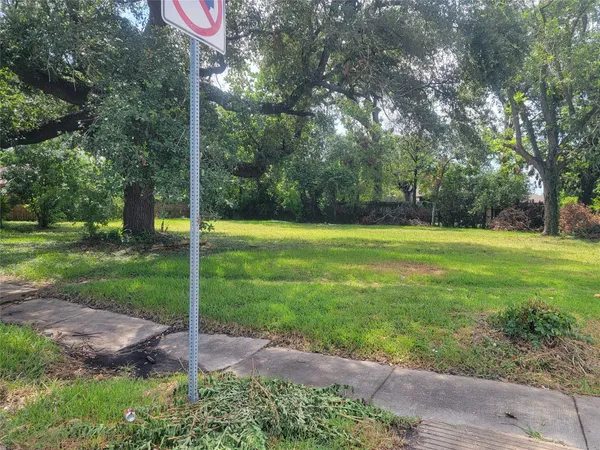 a view of a park with tree s