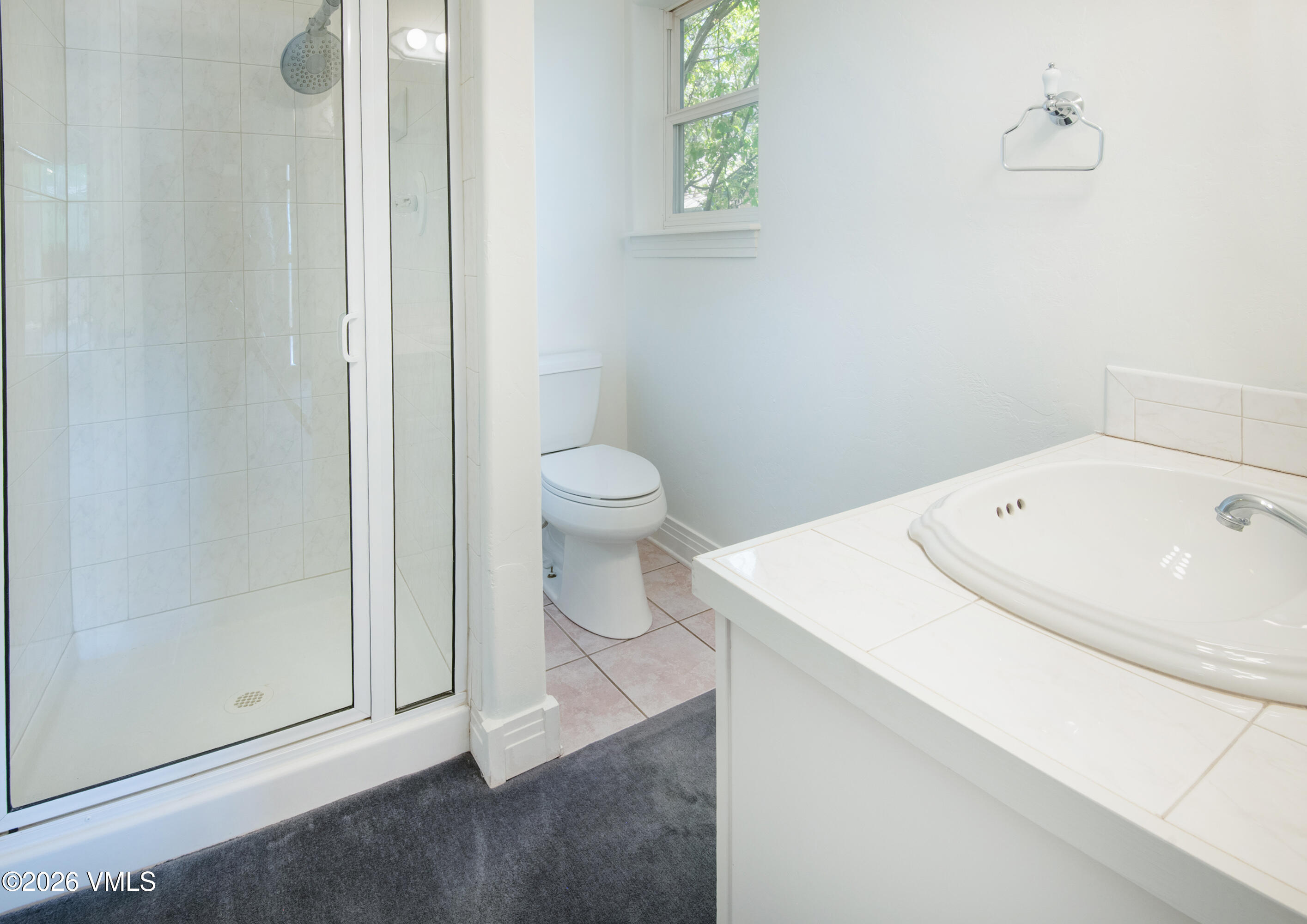 471 Rawhide Road Edwards, CO 81632 - Photo 25 of 51 a view of bathroom with a toilet