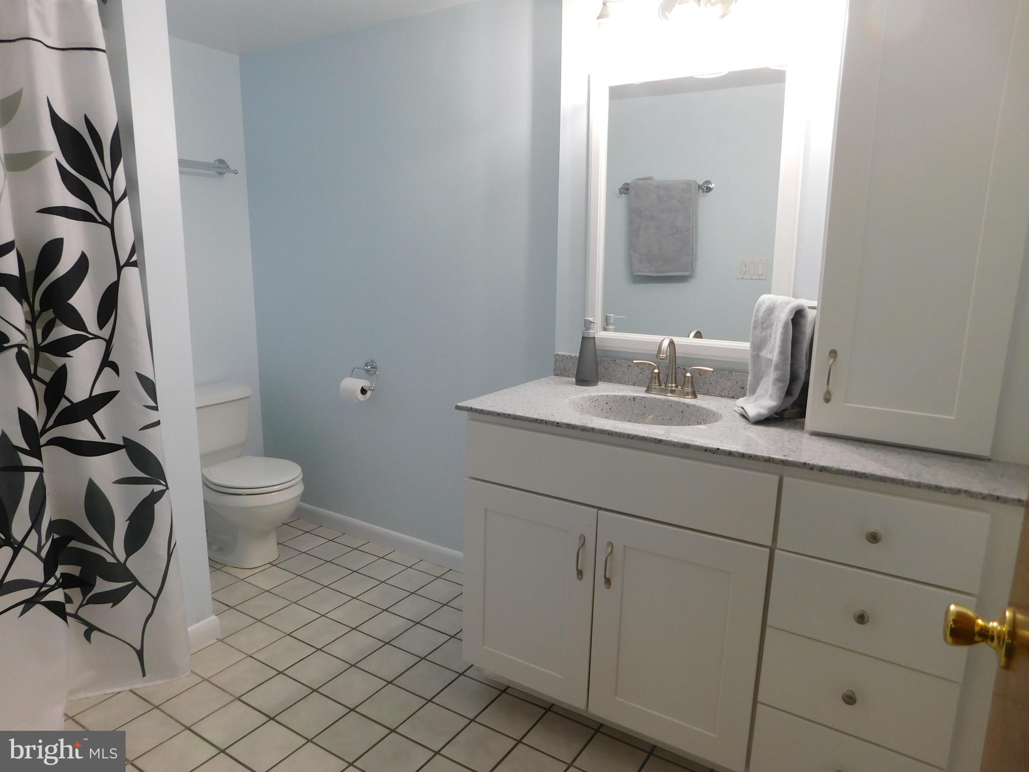 3601 Emig School Road Dover, PA 17315 - Photo 8 of 19 Newly remodeled bath (this year) with ceramic tile