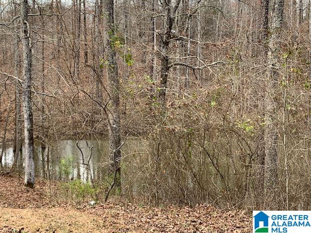 12133 Graceland Road Northport, AL 35475 - Photo 29 of 29
