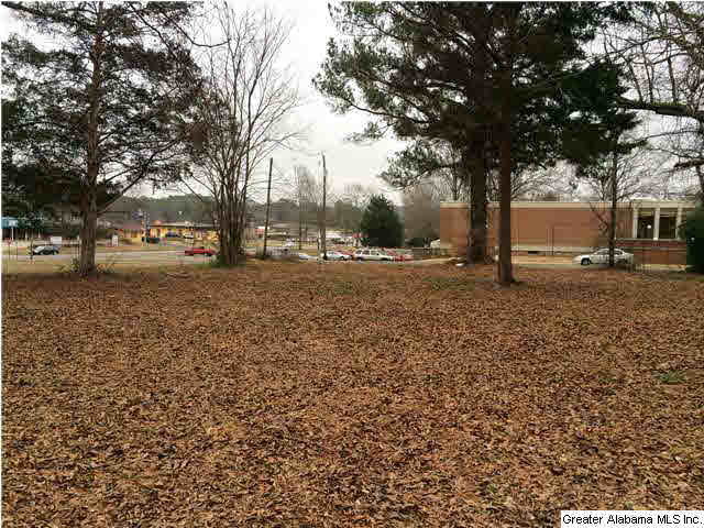 503 5th Street North Oneonta, AL 35121 - Photo 10 of 32