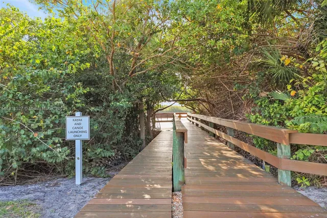an aerial view of a tennis ground with a large trees
