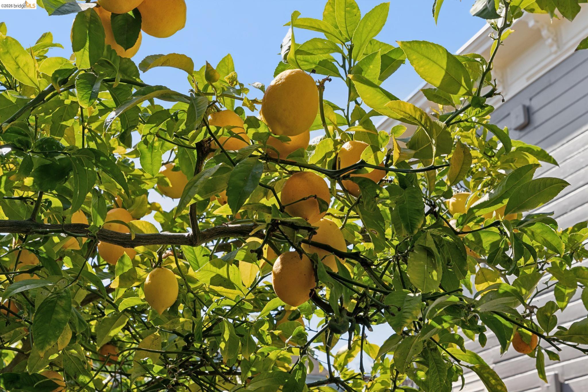 1655 12th Street Oakland, CA 94607 - Photo 31 of 51