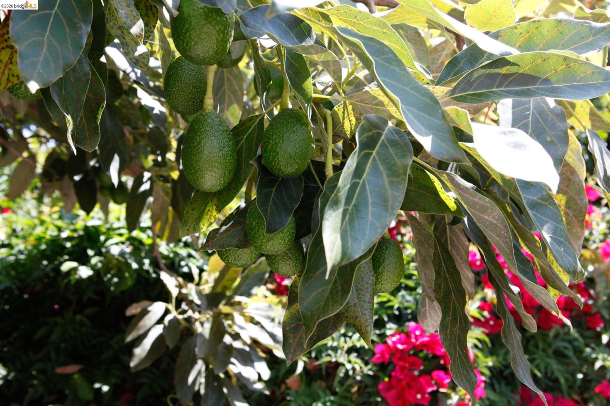 1655 12th Street Oakland, CA 94607 - Photo 36 of 51