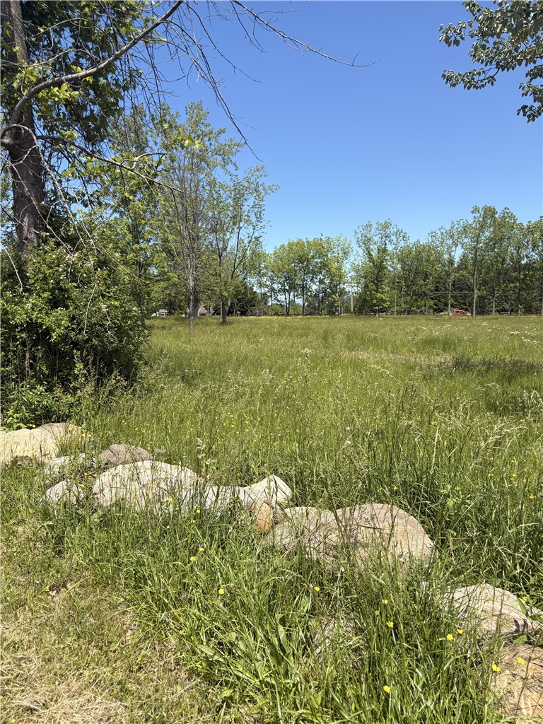 Kendrick Road Waterport, NY 14571 - Photo 5 of 8