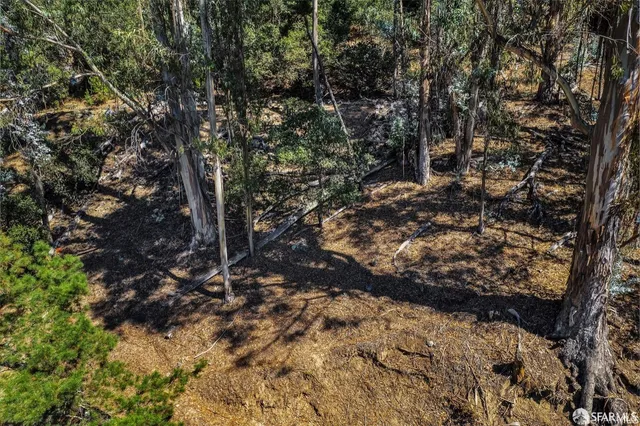 a view of a yard with trees