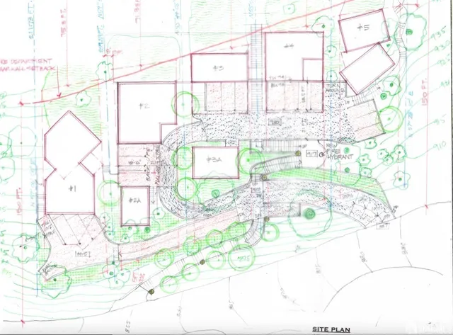 a view of a yard with plants and large trees