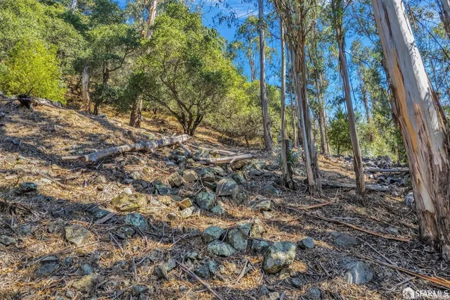 a view of a yard with plants and wooden fence