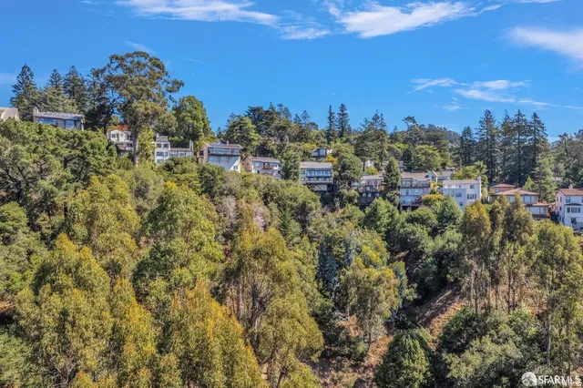 a view of a yard with plants and trees