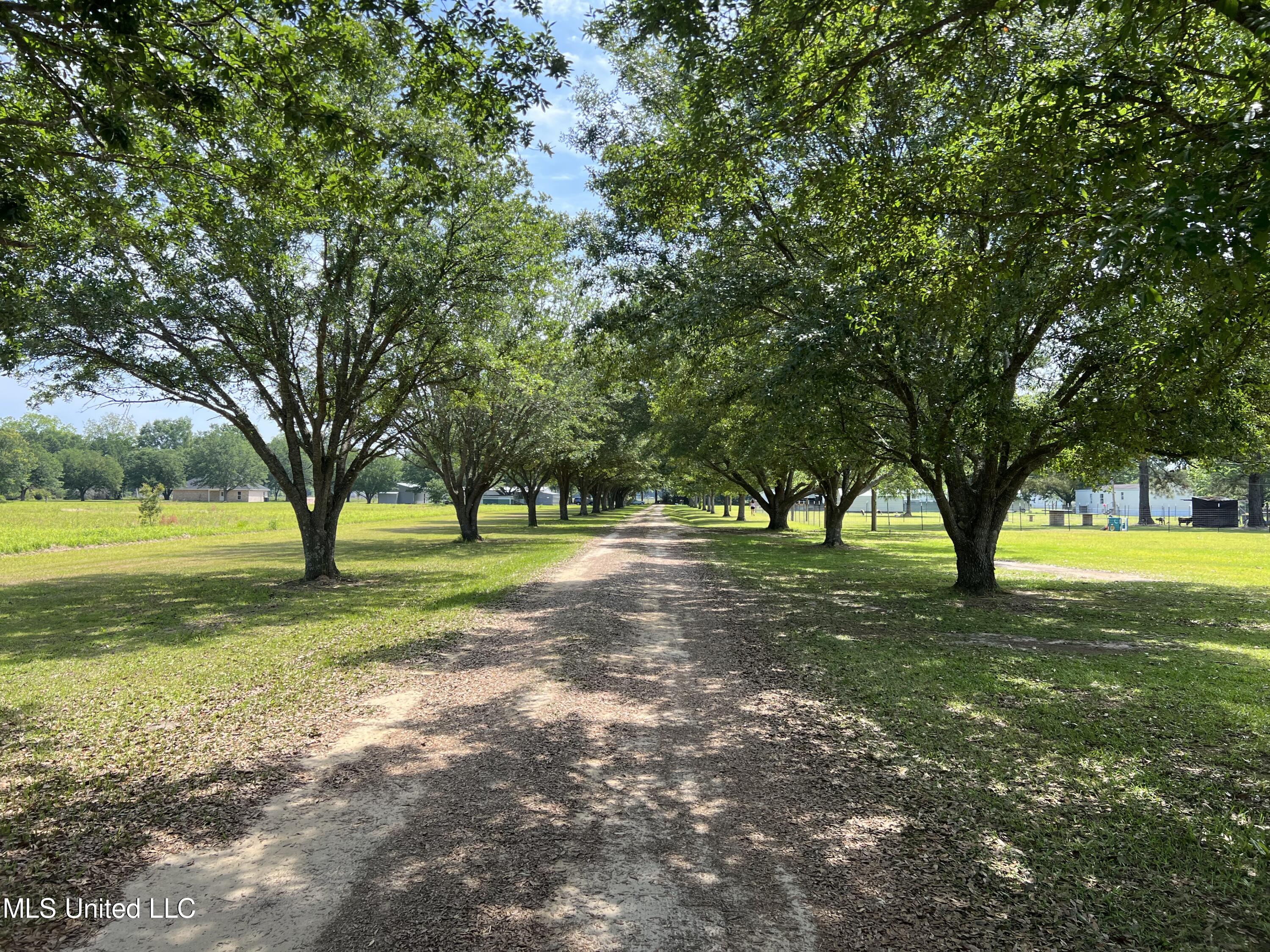 3254 Dean Nursery Road Lucedale, MS 39452 - Photo 2 of 45 EFFB75D9-7F79-42A0-9B0E-7FBBD20F5F9B
