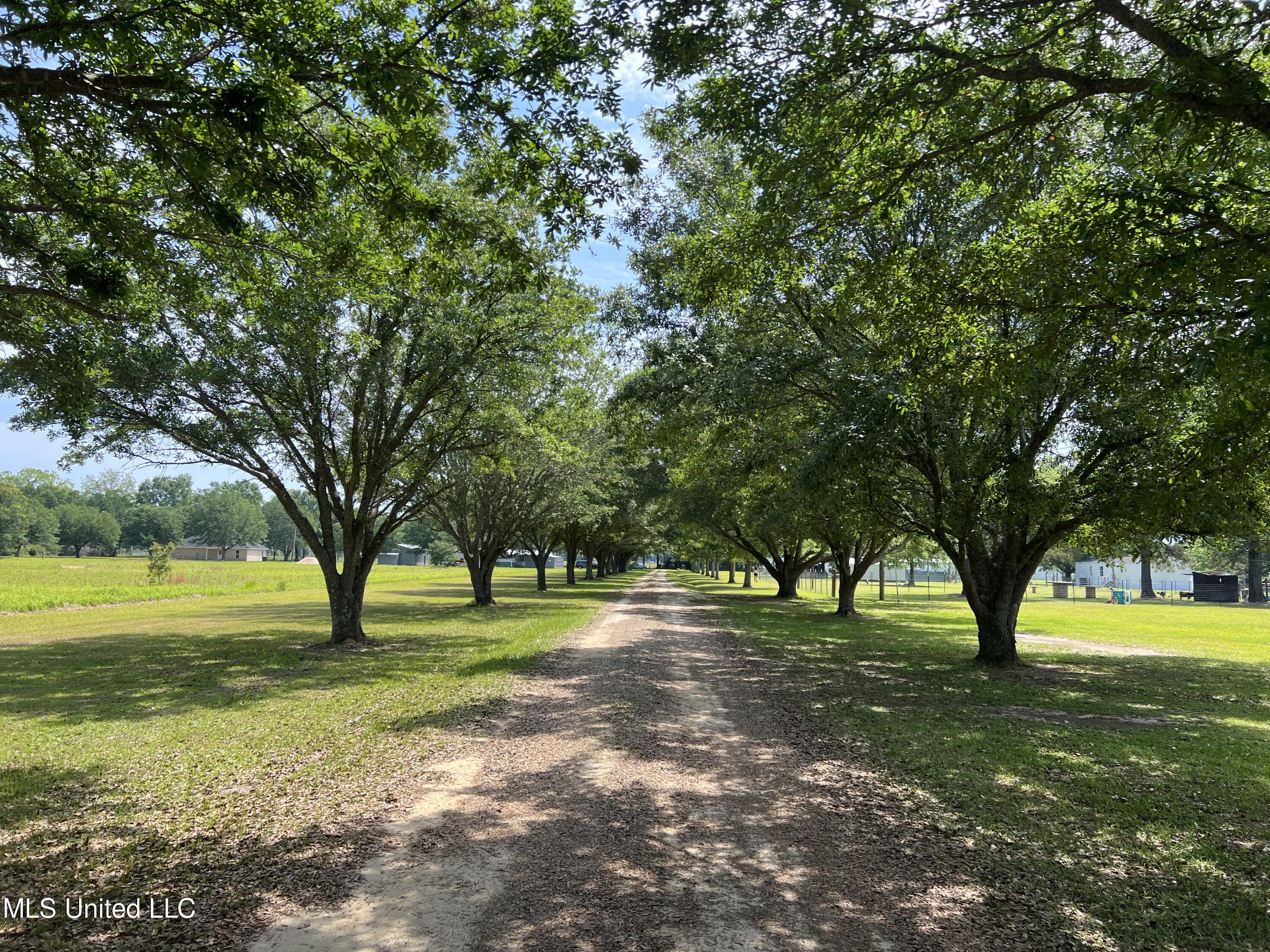 3254 Dean Nursery Road Lucedale, MS 39452 - Photo 4 of 45 2F4885D7-D57F-4AAE-8E4A-CA66087CAE75