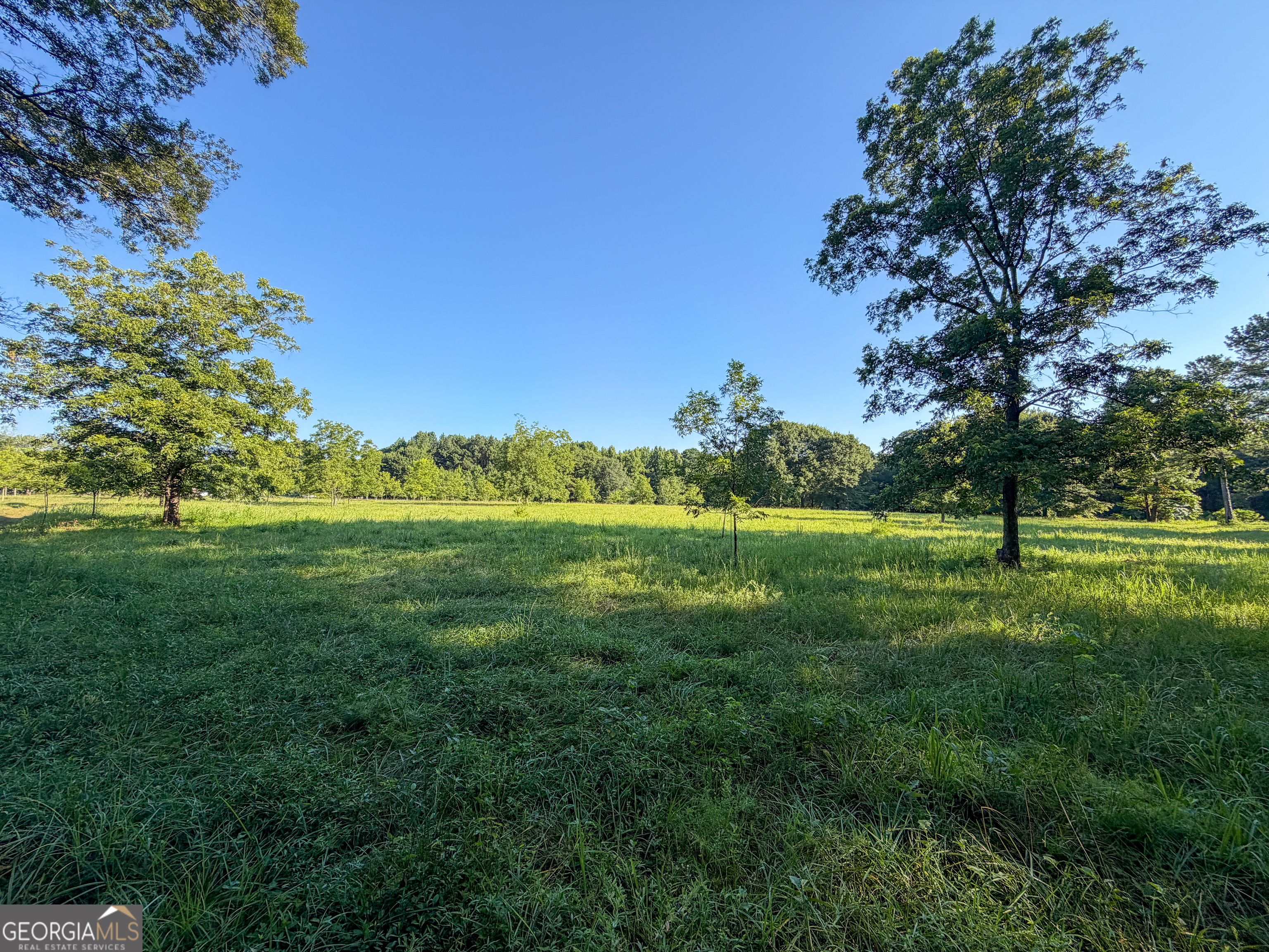 0 Hester Town Road Monroe, GA 30655 - Photo 30 of 45