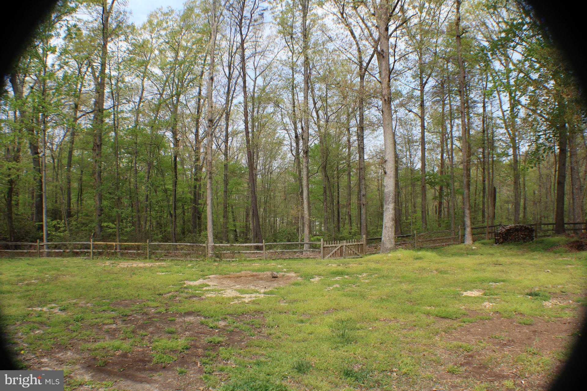 14 Ridgemore Circle Fredericksburg, VA 22405 - Photo 14 of 15 Exterior (Rear)