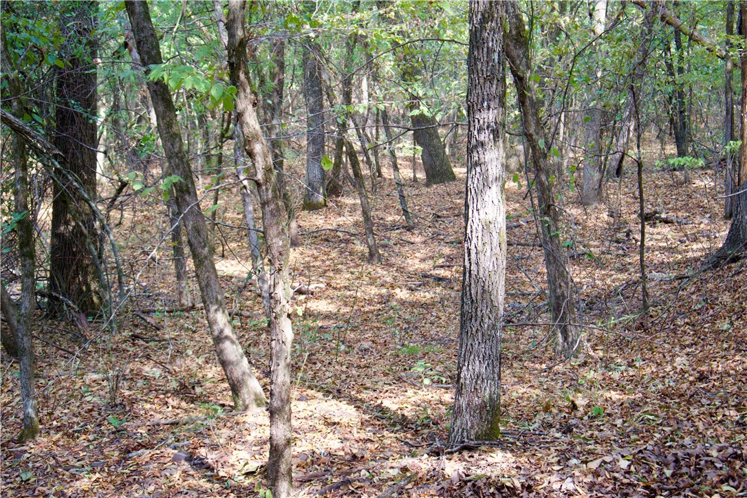 0 Ozark Point Chester, AR 72934 - Photo 36 of 49 Gallery Image 36