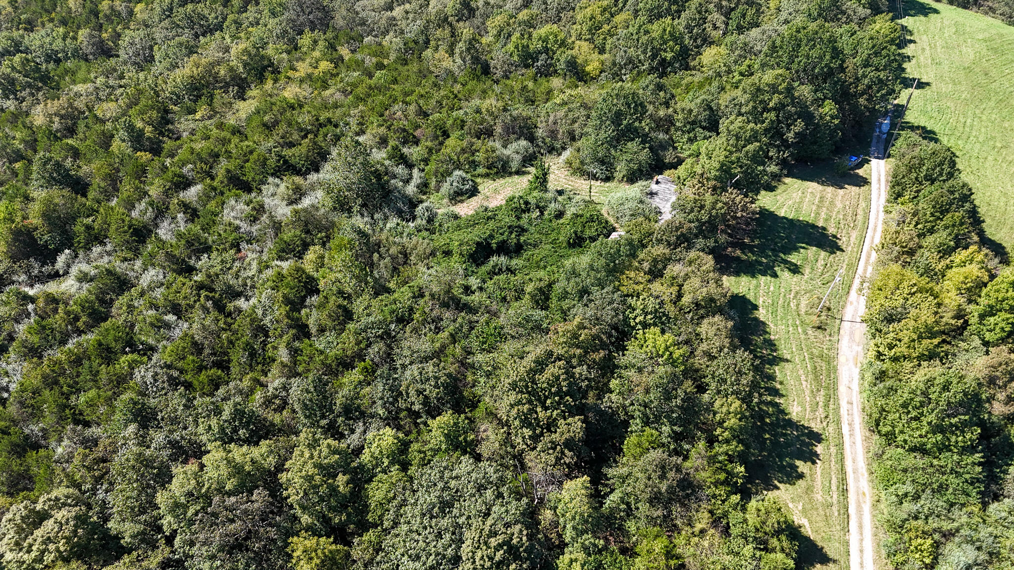 948 Arrowhead Lake Road Corinth, KY 41010 - Photo 11 of 41 Harrison_List 11