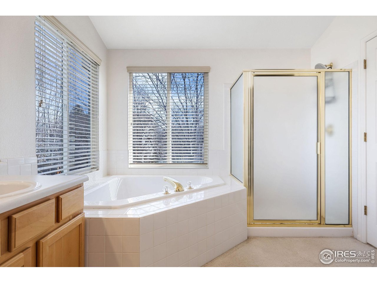 1889 Hauck Street Erie, CO 80516 - Photo 25 of 40