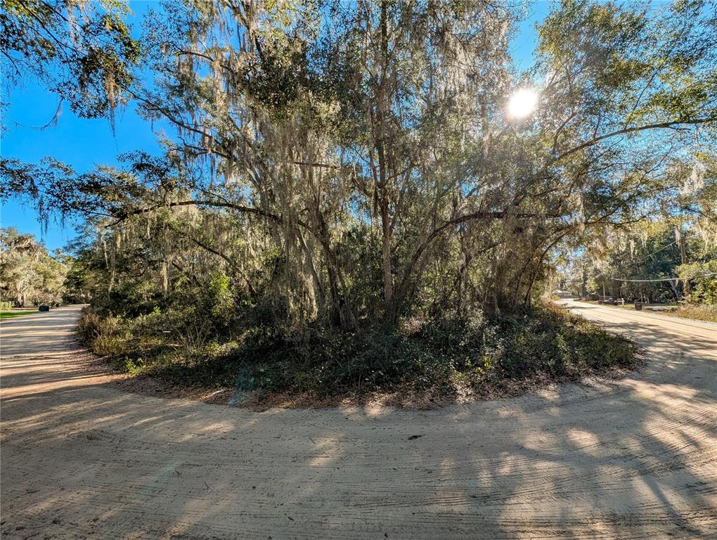 110 Leeward Road Satsuma, FL 32189 - Photo 16 of 18