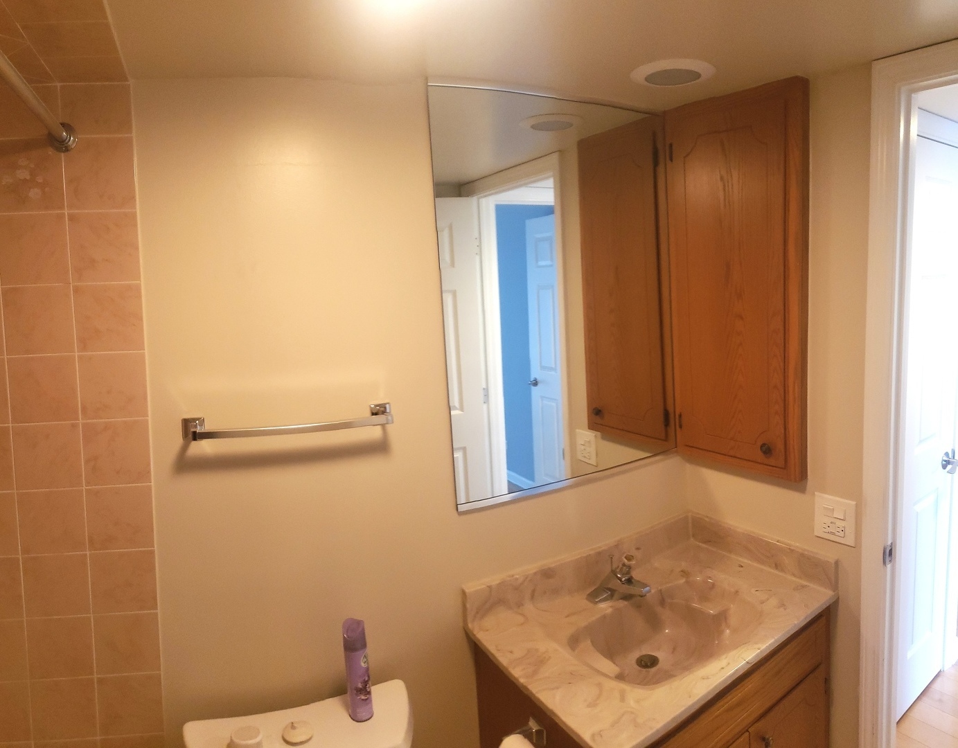 8350 West Addison Street, Unit 201 Chicago, IL 60634 - Photo 22 of 41 a bathroom with a sink a toilet and shower