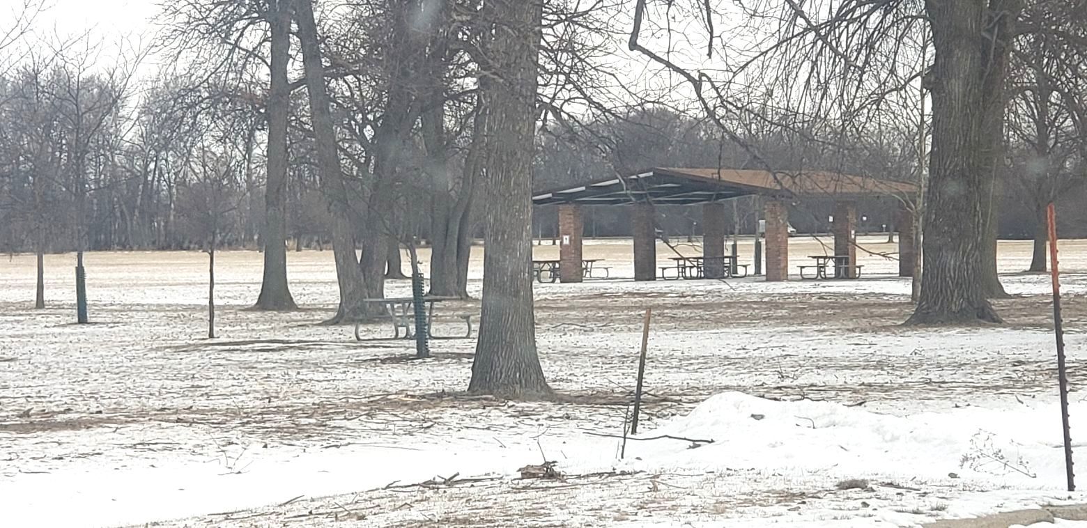 8350 West Addison Street, Unit 201 Chicago, IL 60634 - Photo 37 of 41 a backyard of a house with lots of snow and trees