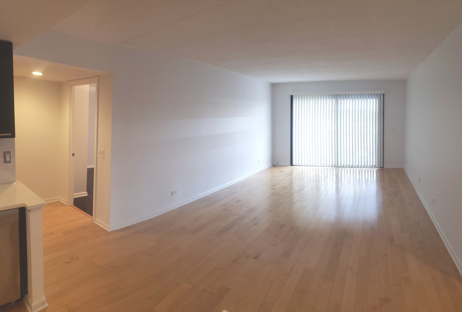 8350 West Addison Street, Unit 201 Chicago, IL 60634 - Photo 5 of 41 an empty room with wooden floor and windows