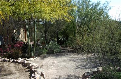 6255 West Sunset Road Tucson, AZ 85743 - Photo 3 of 7 Gallery Image 3