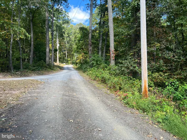 a view of a yard with plants and trees