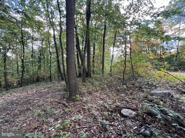 a view of outdoor space with lots of trees