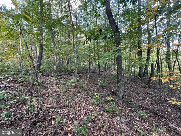 a view of outdoor space and green space