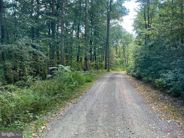 a view of a road with trees in the background