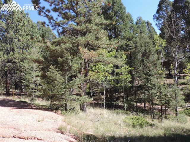 1325 Pinewood Road Florissant, CO 80816 - Photo 5 of 7