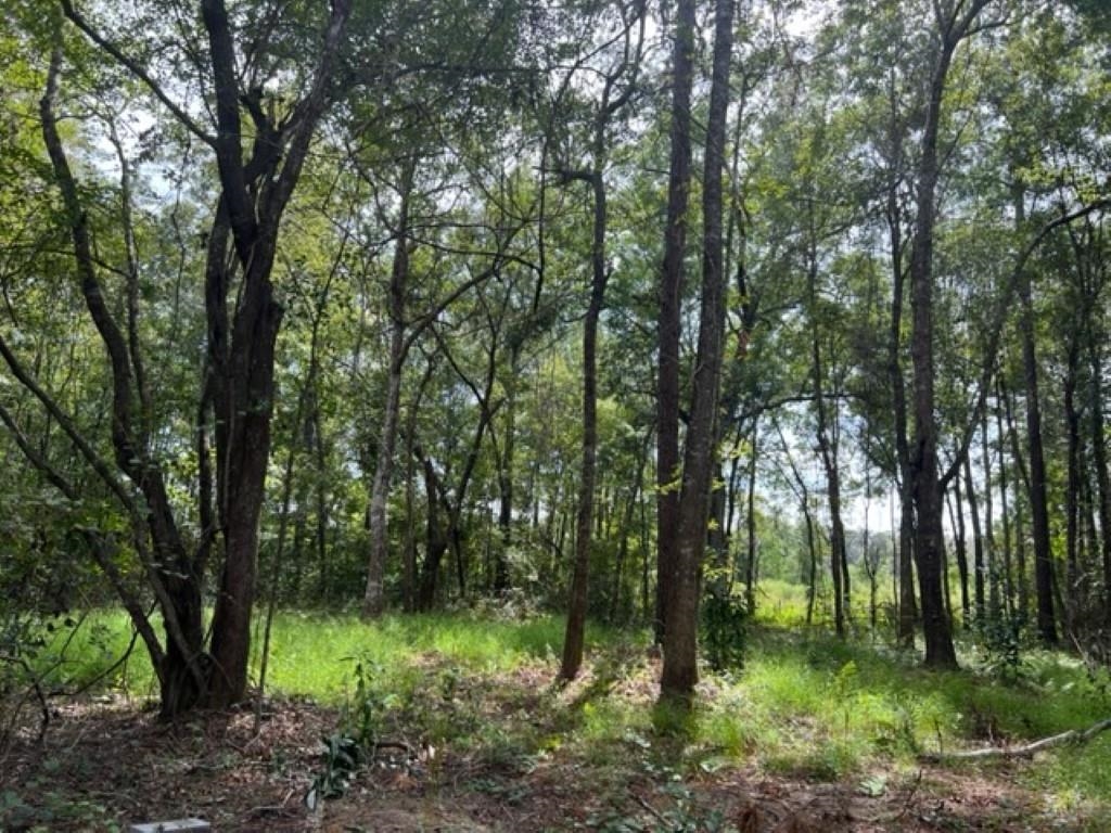 98 Cox Road Monticello, FL 32344 - Photo 13 of 17 Gallery Image 13
