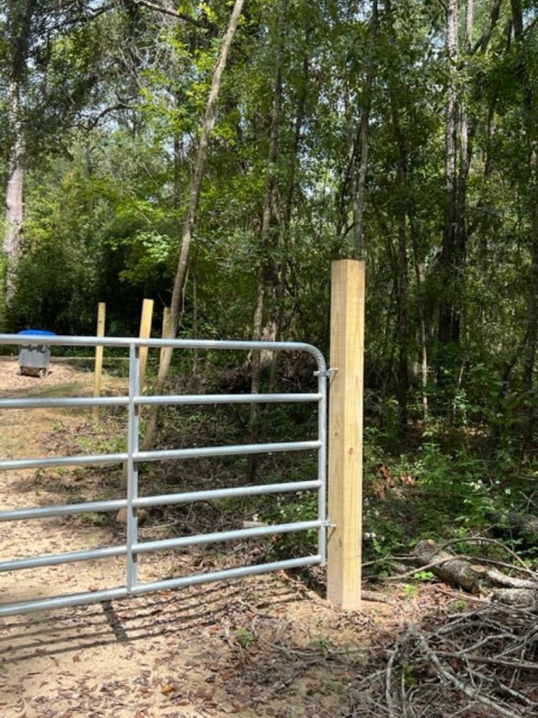 98 Cox Road Monticello, FL 32344 - Photo 6 of 17 Gallery Image 6