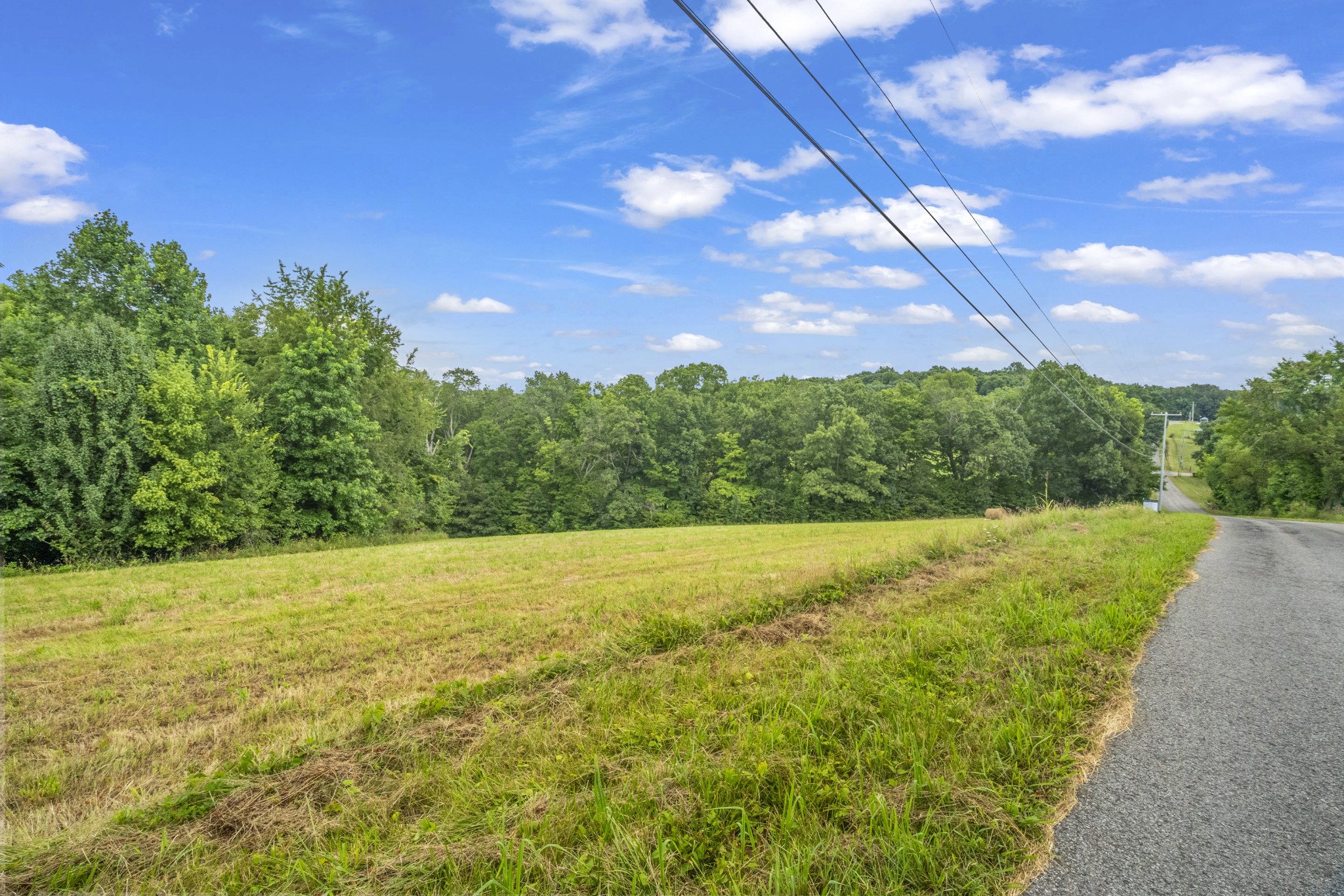 630 Boiling Springs Road Portland, TN 37148 - Photo 6 of 37 a view of a yard with an trees