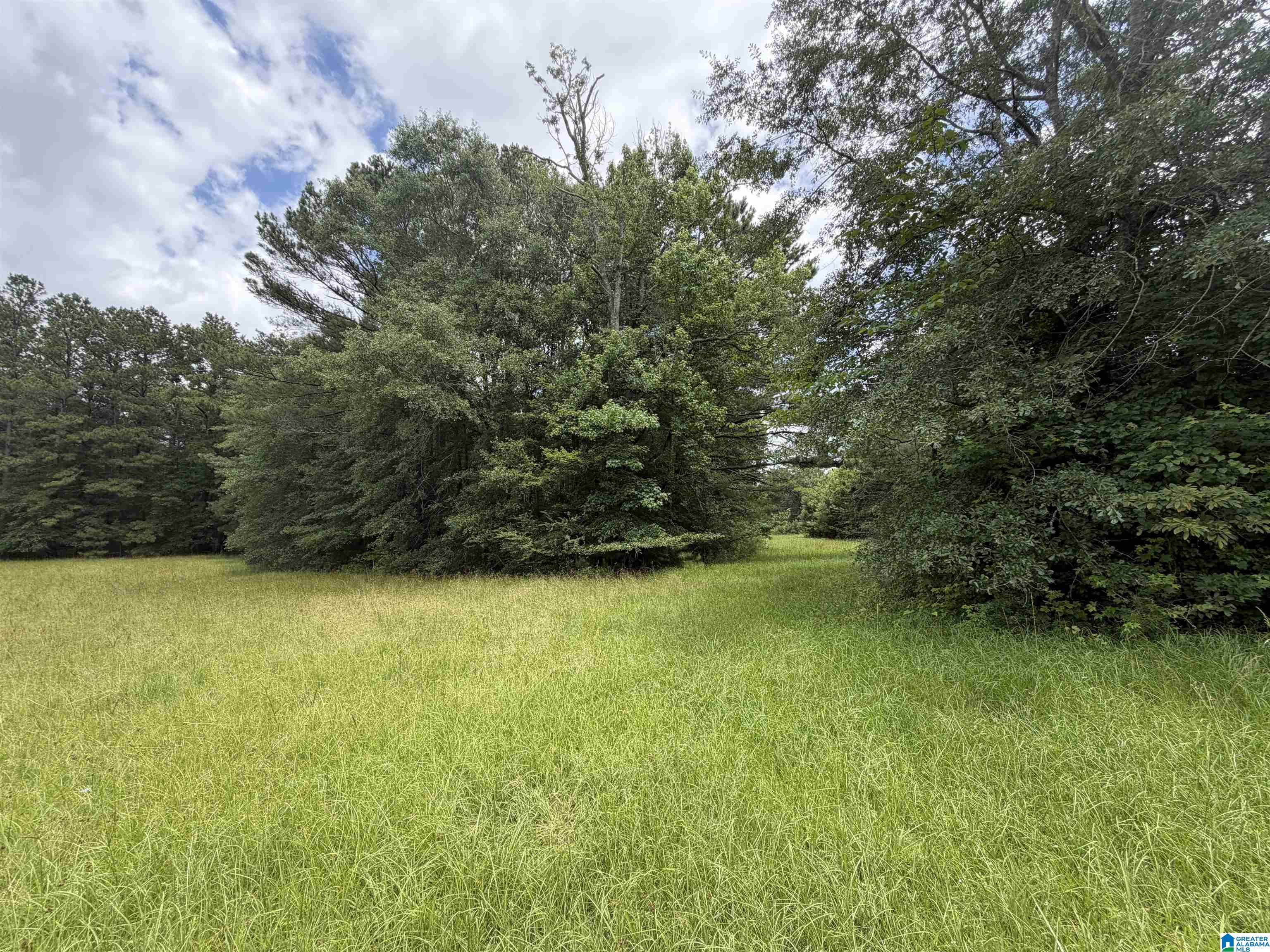 0 Hall Burton Road, Unit 1 Sumiton, AL 35148 - Photo 7 of 10