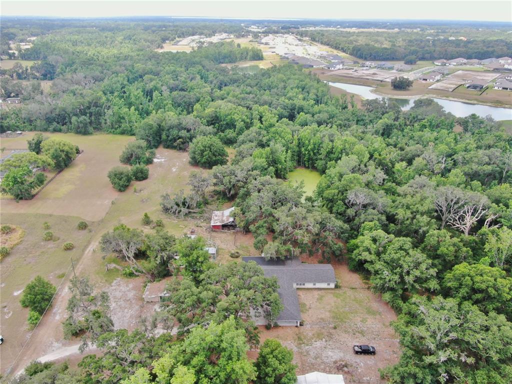 1641 Thompson Road Lithia, FL 33547 - Photo 4 of 64 Gallery Image 4