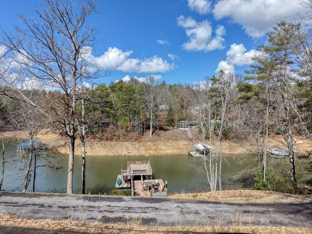333 Reece Creek Road West Blairsville, GA 30512 - Photo 7 of 50